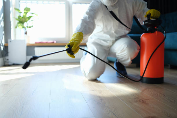Reliable Biohazard Cleanup contractor in Louisville, IL by Trauma Clean Pros